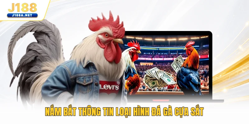 Nắm bắt thông tin loại hình đá gà cựa sắt
